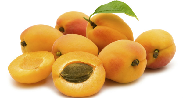 Apricot